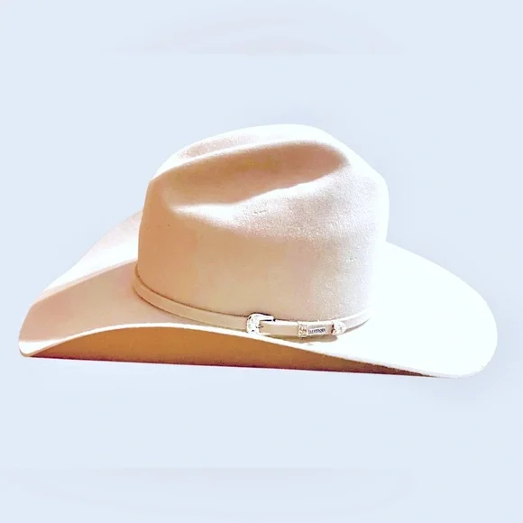 Resistol Midnight 6X Silverbelly Size 7 - Picture 1 of 9